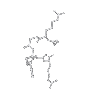 29677_8g1u_D_v1-1
Structure of the methylosome-Lsm10/11 complex