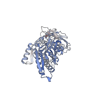 29677_8g1u_E_v1-1
Structure of the methylosome-Lsm10/11 complex