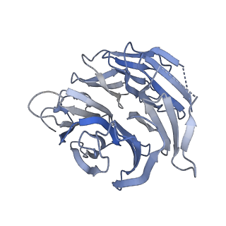 29677_8g1u_F_v1-1
Structure of the methylosome-Lsm10/11 complex