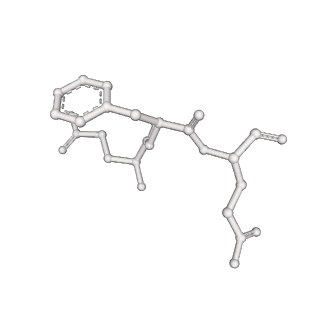 29677_8g1u_G_v1-1
Structure of the methylosome-Lsm10/11 complex