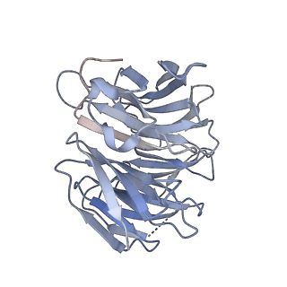 29677_8g1u_J_v1-1
Structure of the methylosome-Lsm10/11 complex