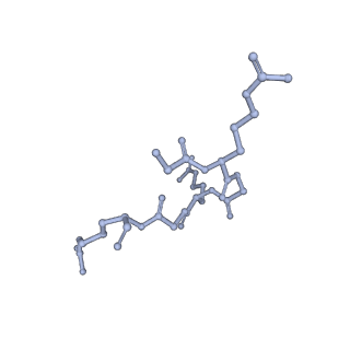 29677_8g1u_L_v1-1
Structure of the methylosome-Lsm10/11 complex