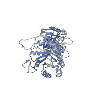 29677_8g1u_M_v1-1
Structure of the methylosome-Lsm10/11 complex