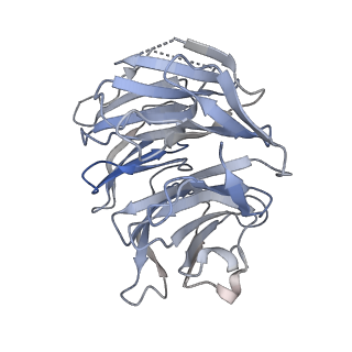 29677_8g1u_N_v1-1
Structure of the methylosome-Lsm10/11 complex