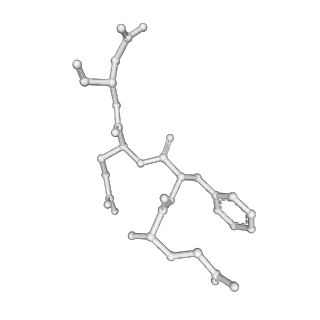 29677_8g1u_O_v1-1
Structure of the methylosome-Lsm10/11 complex