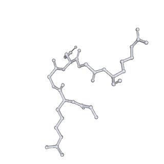 29677_8g1u_P_v1-1
Structure of the methylosome-Lsm10/11 complex