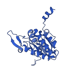4337_6g18_A_v1-5
Cryo-EM structure of a late human pre-40S ribosomal subunit - State C