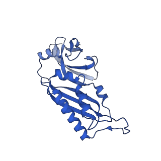 4337_6g18_B_v1-5
Cryo-EM structure of a late human pre-40S ribosomal subunit - State C