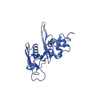 4337_6g18_C_v1-5
Cryo-EM structure of a late human pre-40S ribosomal subunit - State C