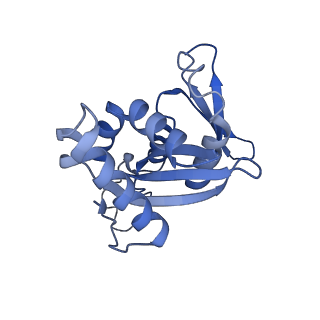 4337_6g18_H_v1-5
Cryo-EM structure of a late human pre-40S ribosomal subunit - State C