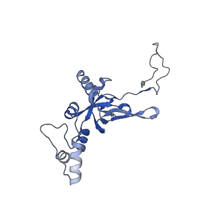 4337_6g18_I_v1-5
Cryo-EM structure of a late human pre-40S ribosomal subunit - State C