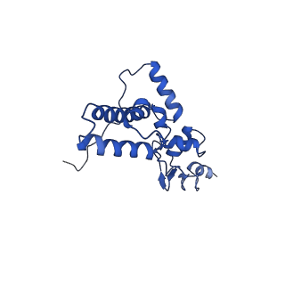 4337_6g18_J_v1-5
Cryo-EM structure of a late human pre-40S ribosomal subunit - State C