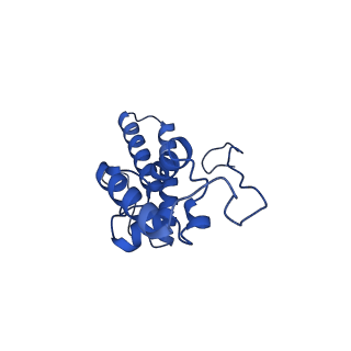 4337_6g18_N_v1-5
Cryo-EM structure of a late human pre-40S ribosomal subunit - State C