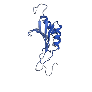 4337_6g18_O_v1-5
Cryo-EM structure of a late human pre-40S ribosomal subunit - State C