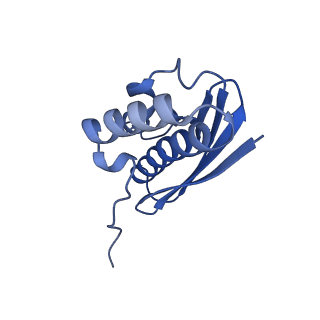 4337_6g18_Q_v1-5
Cryo-EM structure of a late human pre-40S ribosomal subunit - State C