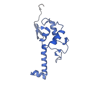 4337_6g18_S_v1-5
Cryo-EM structure of a late human pre-40S ribosomal subunit - State C
