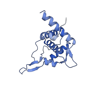 4337_6g18_T_v1-5
Cryo-EM structure of a late human pre-40S ribosomal subunit - State C