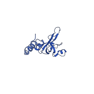 4337_6g18_X_v1-5
Cryo-EM structure of a late human pre-40S ribosomal subunit - State C
