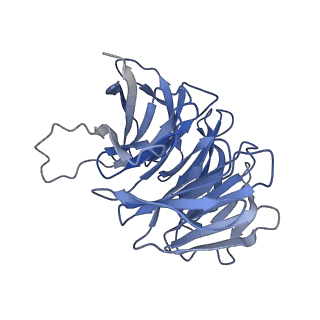 4337_6g18_g_v1-5
Cryo-EM structure of a late human pre-40S ribosomal subunit - State C