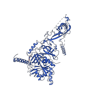 4337_6g18_u_v1-5
Cryo-EM structure of a late human pre-40S ribosomal subunit - State C