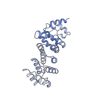4337_6g18_w_v1-5
Cryo-EM structure of a late human pre-40S ribosomal subunit - State C