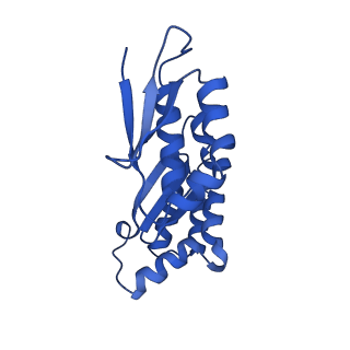4337_6g18_x_v1-5
Cryo-EM structure of a late human pre-40S ribosomal subunit - State C