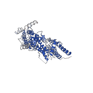 4339_6g1k_D_v1-2
Electron cryo-microscopy structure of the canonical TRPC4 ion channel