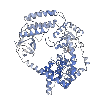 4340_6g1s_A_v1-3
CryoEM structure of the MDA5-dsRNA filament with 87-degree helical twist