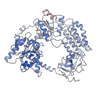 4341_6g1x_A_v1-3
CryoEM structure of the MDA5-dsRNA filament with 91-degree helical twist