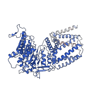 29678_8g27_C_v1-0
Hybrid aspen cellulose synthase-8 bound to UDP