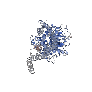 29679_8g2j_I_v1-0
Hybrid aspen cellulose synthase-8 bound to UDP-glucose