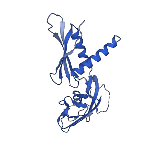 29683_8g2w_G_v1-1
Cryo-EM structure of 3DVA component 2 of Escherichia coli que-PEC (paused elongation complex) RNA Polymerase minus preQ1 ligand