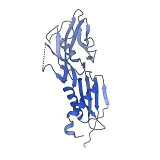 29683_8g2w_H_v1-1
Cryo-EM structure of 3DVA component 2 of Escherichia coli que-PEC (paused elongation complex) RNA Polymerase minus preQ1 ligand