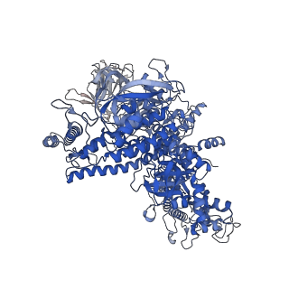 29683_8g2w_J_v1-1
Cryo-EM structure of 3DVA component 2 of Escherichia coli que-PEC (paused elongation complex) RNA Polymerase minus preQ1 ligand