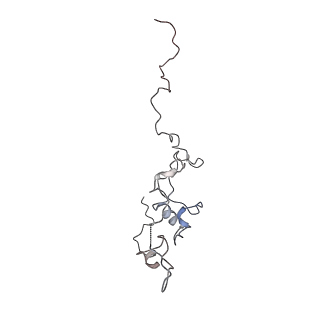 29685_8g2z_0A_v1-0
48-nm doublet microtubule from Tetrahymena thermophila strain CU428