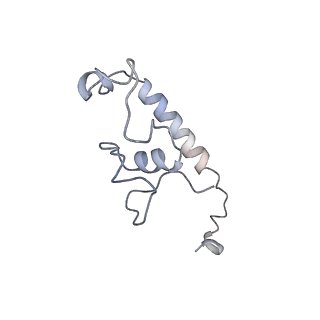 29685_8g2z_0C_v1-0
48-nm doublet microtubule from Tetrahymena thermophila strain CU428