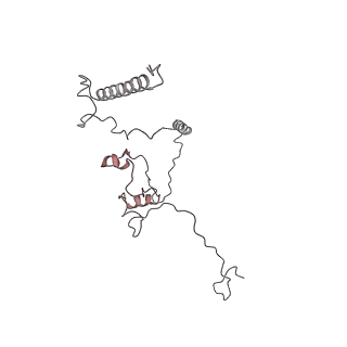 29685_8g2z_0D_v1-0
48-nm doublet microtubule from Tetrahymena thermophila strain CU428