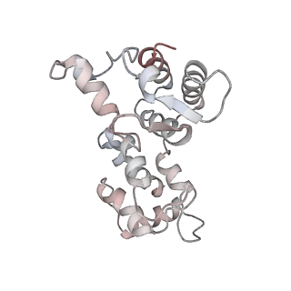 29685_8g2z_0E_v1-0
48-nm doublet microtubule from Tetrahymena thermophila strain CU428