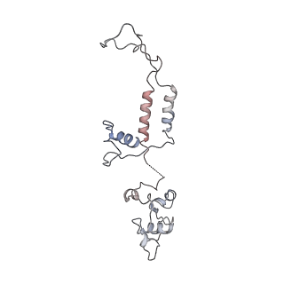 29685_8g2z_0F_v1-0
48-nm doublet microtubule from Tetrahymena thermophila strain CU428