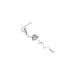 29685_8g2z_0G_v1-0
48-nm doublet microtubule from Tetrahymena thermophila strain CU428