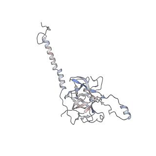 29685_8g2z_0N_v1-0
48-nm doublet microtubule from Tetrahymena thermophila strain CU428