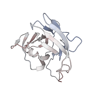 29685_8g2z_0Q_v1-0
48-nm doublet microtubule from Tetrahymena thermophila strain CU428
