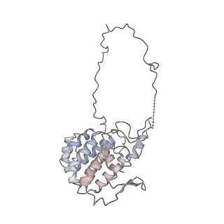 29685_8g2z_0S_v1-0
48-nm doublet microtubule from Tetrahymena thermophila strain CU428