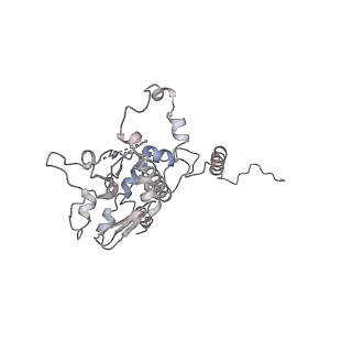29685_8g2z_0T_v1-0
48-nm doublet microtubule from Tetrahymena thermophila strain CU428
