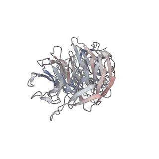 29685_8g2z_0U_v1-0
48-nm doublet microtubule from Tetrahymena thermophila strain CU428