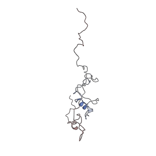 29685_8g2z_1A_v1-0
48-nm doublet microtubule from Tetrahymena thermophila strain CU428