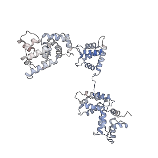 29685_8g2z_1B_v1-0
48-nm doublet microtubule from Tetrahymena thermophila strain CU428
