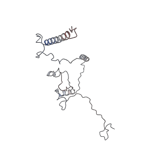 29685_8g2z_1D_v1-0
48-nm doublet microtubule from Tetrahymena thermophila strain CU428