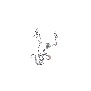 29685_8g2z_1F_v1-0
48-nm doublet microtubule from Tetrahymena thermophila strain CU428