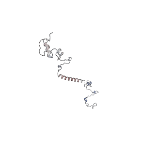29685_8g2z_1I_v1-0
48-nm doublet microtubule from Tetrahymena thermophila strain CU428